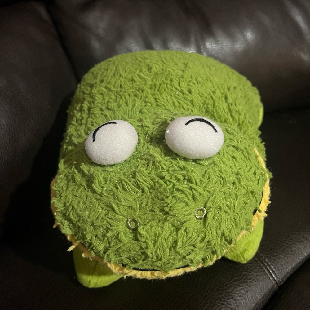 Frog pillow pet